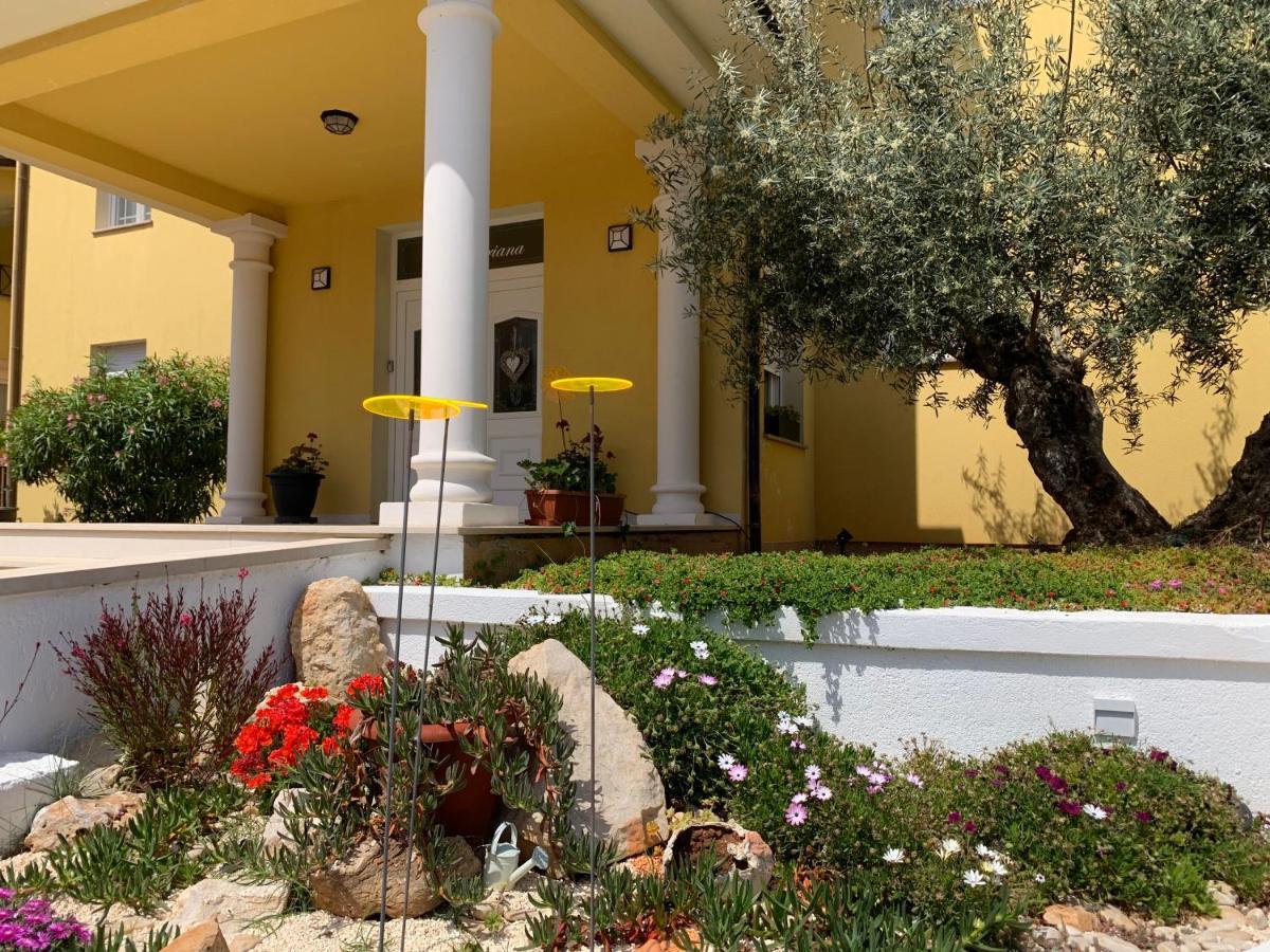 Villa Istriana Liznjan Exterior photo